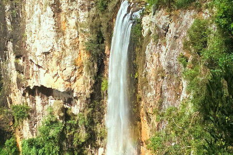 Rainforest & Waterfalls Extravaganza - Tourism Cairns 3