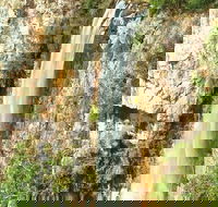 Private Tour - Rainforest  Waterfalls Extravaganza - Tourism Cairns