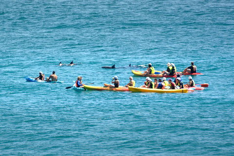 The Byron Bay Sea Kayak Tour - Tourism Cairns 1