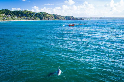 The Byron Bay Sea Kayak Tour - Tourism Cairns 2