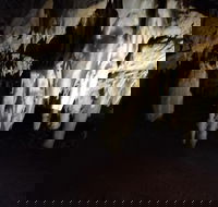 The Pinnacle Adventure Tour - Tourism Cairns