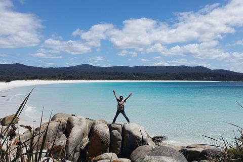 Tasmania 4 Day East Coast + Launceston - Tourism Cairns 1