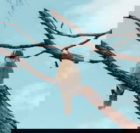 Highlights Of Kings Park - Tourism Cairns