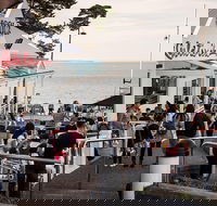 Phillip Island and French Island Wildlife Expedition - Tourism Cairns