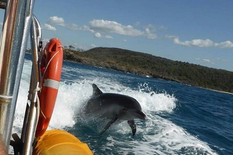 Noosa Oceanrider - Adventure Tour - Tourism Cairns 1