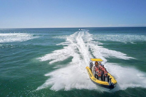 Noosa Oceanrider - Adventure Tour - Tourism Cairns 2