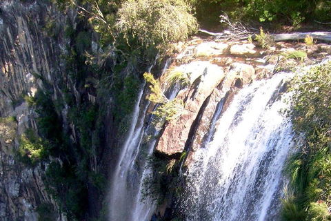 Byron Bay Combo: Hinterland Tour Including Minyon Falls And Kayaking With Dolphins - Tourism Cairns 3