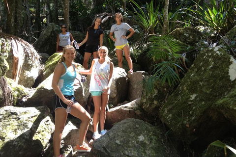 Byron Bay Combo: Hinterland Tour Including Minyon Falls And Kayaking With Dolphins - Tourism Cairns 4