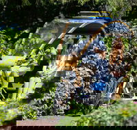 Adelaide 90-Minute Pedicab Tour Scenic Green  River Experience - Tourism Cairns