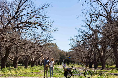 Adelaide 90-Minute Pedicab Tour: Scenic Green & River Experience - Tourism Cairns 1