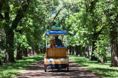 Adelaide 90-Minute Pedicab Tour: Scenic Green & River Experience - Tourism Cairns 2