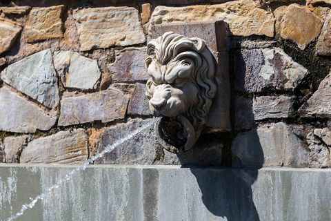 Adelaide 90-Minute Pedicab Tour: Scenic Green & River Experience - Tourism Cairns 3