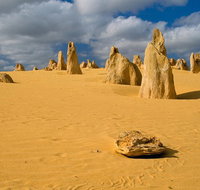 The Pinnacles Sea and Dunescapes Bush Reserve and Sunset Day Tour - Tourism Cairns