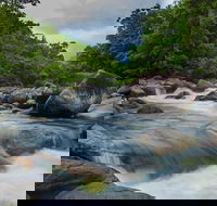 Cape Tribulation Day Tour - Tourism Cairns