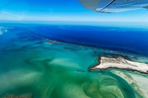 Wet Season Incredible Islands Tour - Horizontal Falls & Cygnet Bay Pearl Farm - Tourism Cairns 4