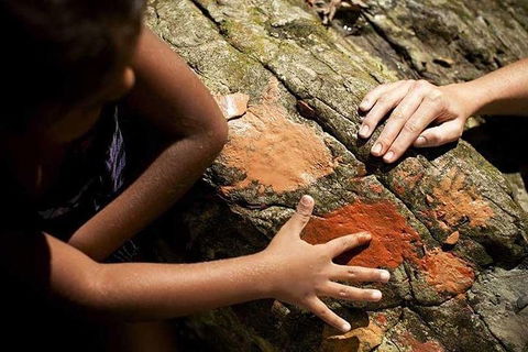 Ngana Julaymba Dungay - Half Day - Tourism Cairns 0