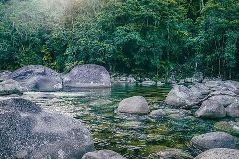 Ngana Julaymba Dungay - Half Day - Tourism Cairns 2