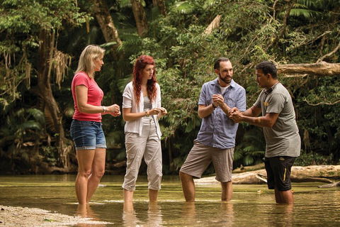 Ngana Julaymba Dungay - Half Day - Tourism Cairns 5