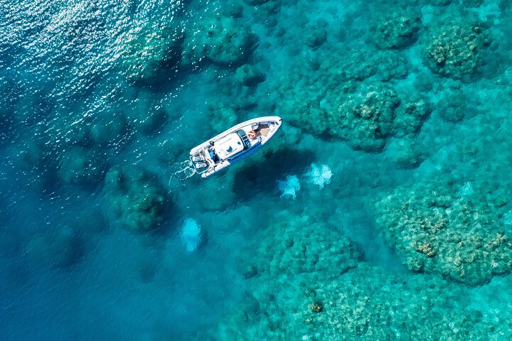 Hamilton Island QLD Tourism Cairns