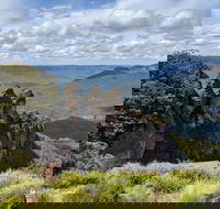 Blue Mountains Private Tour - wild kangaroos waterfalls and The Three Sisters - Tourism Cairns