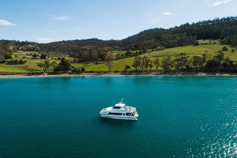 Deep-to-Dish: Tasmanian Seafood Experience - Tourism Cairns 0