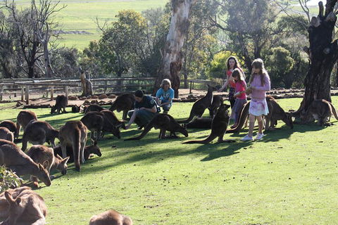 The Port Arthur MEGA Day Trip From Hobart - Tourism Cairns 5