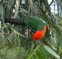 3-Day Private Adelaide to Melbourne tour - Tourism Cairns