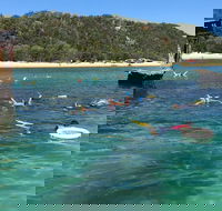 All Inclusive Dolphin and Tangalooma Wrecks Cruise - Tourism Cairns