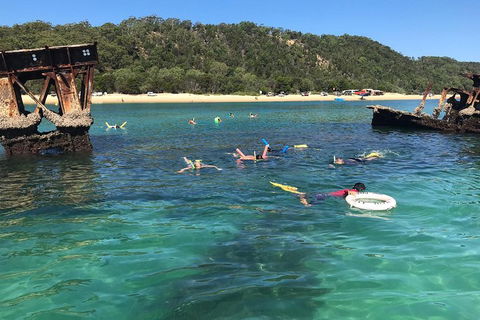 All Inclusive Dolphin And Tangalooma Wrecks Cruise - Tourism Cairns 0