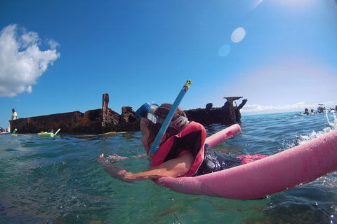 All Inclusive Dolphin And Tangalooma Wrecks Cruise - Tourism Cairns 2