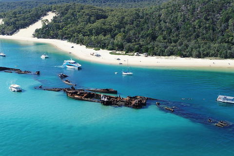 All Inclusive Dolphin And Tangalooma Wrecks Cruise - Tourism Cairns 4