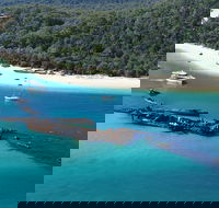 All Inclusive Tangalooma Wrecks Cruise Tour From Gold Coast - Tourism Cairns