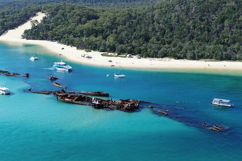 All Inclusive Tangalooma Wrecks Cruise Tour From Gold Coast - Tourism Cairns 0