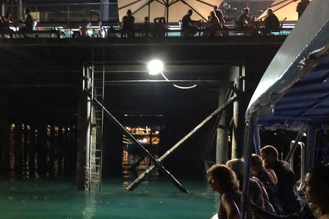 Darwin Sunset Cruise Including Fish 'n' Chips - Tourism Cairns 0