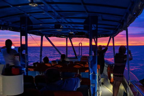 Darwin Sunset Cruise Including Fish 'n' Chips - Tourism Cairns 1
