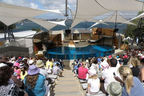 Sydney Taronga Zoo General Entry Ticket - Tourism Cairns 5