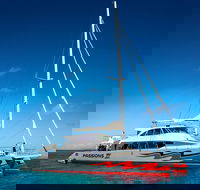 Passions of Paradise Great Barrier Reef Snorkel and Dive Cruise from Cairns by Luxury Catamaran - Tourism Cairns