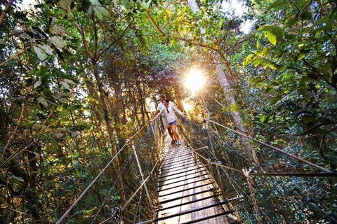 O'Reilly's & Lamington National Park From Brisbane - Tourism Cairns 5