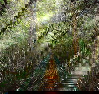 O'Reilly's  Lamington National Park from Gold Coast - Tourism Cairns