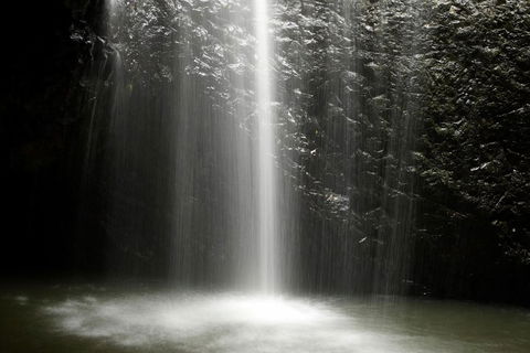 Natural Bridge Glow Worm Night Tour From Gold Coast - Tourism Cairns 2