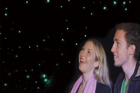 Natural Bridge Glow Worm Night Tour From Gold Coast - Tourism Cairns 3