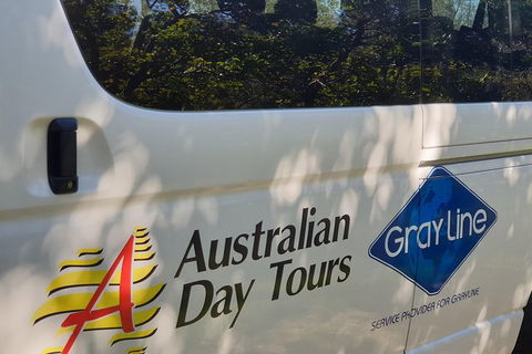 Natural Bridge Glow Worm Night Tour From Gold Coast - Tourism Cairns 5