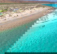 Ningaloo in a Day - Full Day Hike and Snorkel Tour with Lunch - Tourism Cairns