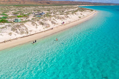 Ningaloo In A Day - Full Day Hike And Snorkel Tour With Lunch - Tourism Cairns 0