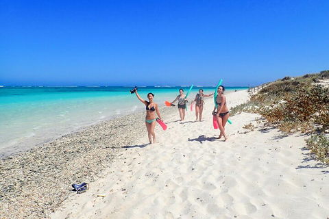 Ningaloo In A Day - Full Day Hike And Snorkel Tour With Lunch - Tourism Cairns 1