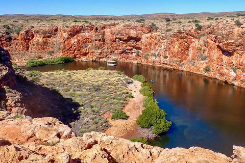Ningaloo In A Day - Full Day Hike And Snorkel Tour With Lunch - Tourism Cairns 2