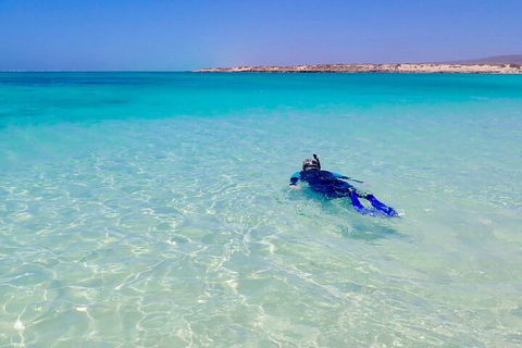 Ningaloo In A Day - Full Day Hike And Snorkel Tour With Lunch - Tourism Cairns 4