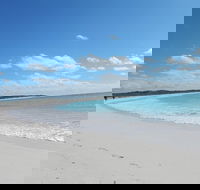 Shipwreck Special Nature Tour/Half Day Tour - Tourism Cairns