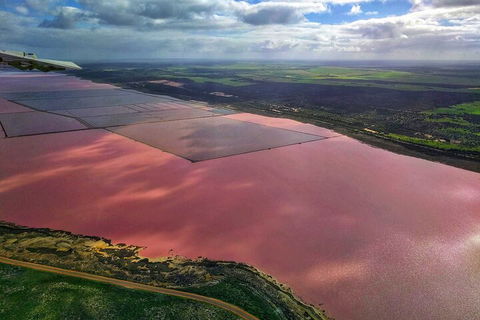 Kalbarri, Pink Lake And Abrolhos Islands Nature Tour - Tourism Cairns 1