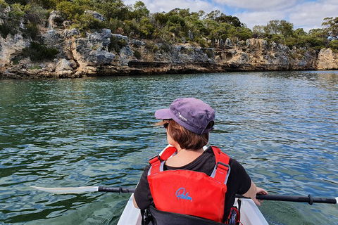 Cliffs And Caves Kayak Tour In Swan River - Tourism Cairns 0